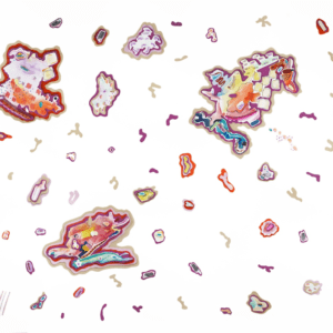 Rock Pools